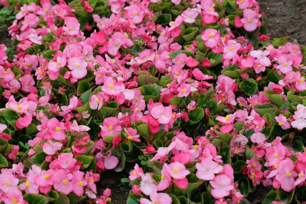 Bureau modulaire à montpellier : optimiser confort et flexibilité