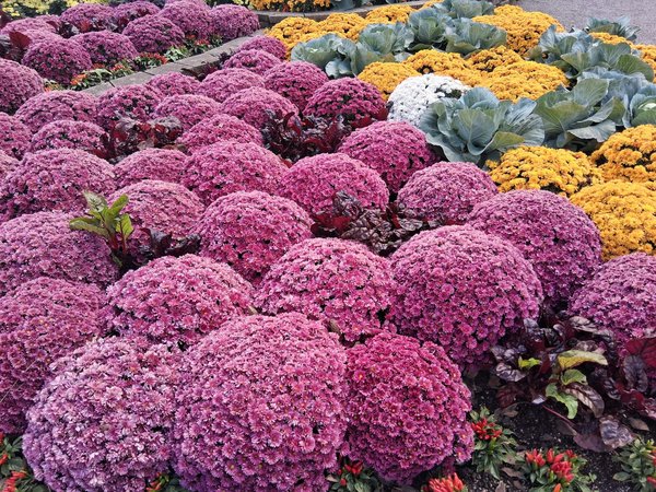 10 idées créatives pour personnaliser votre plaque funéraire