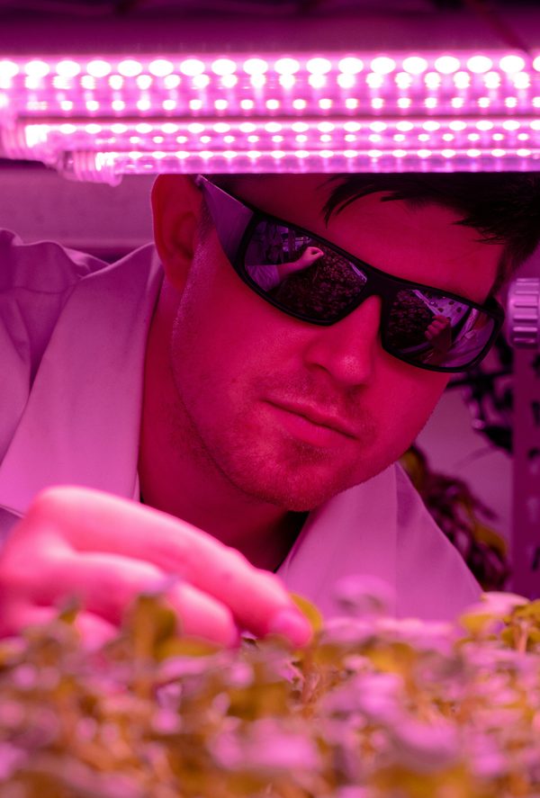 Solutions sur mesure en éclairage horticole : l'innovation VGD Led au service des professionnels